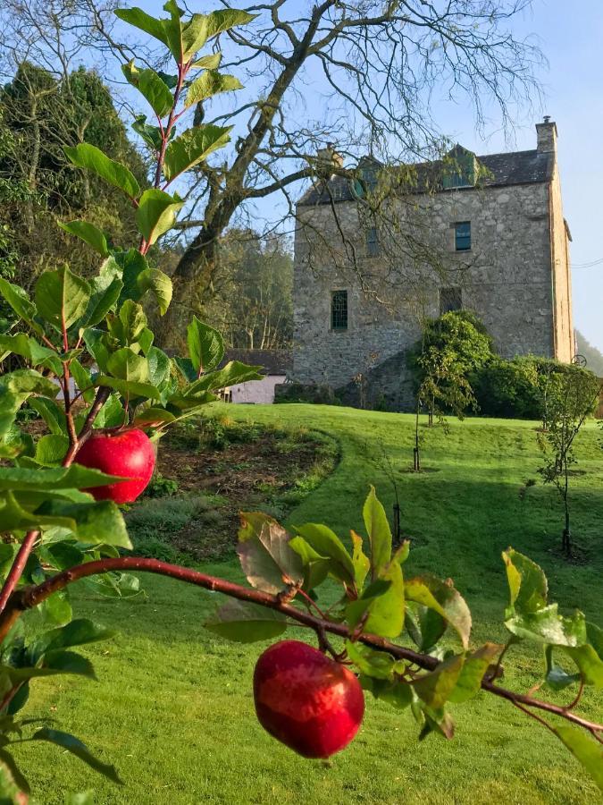 The Lady Maxwell Room At Buittle Castle Dalbeattie Exterior foto